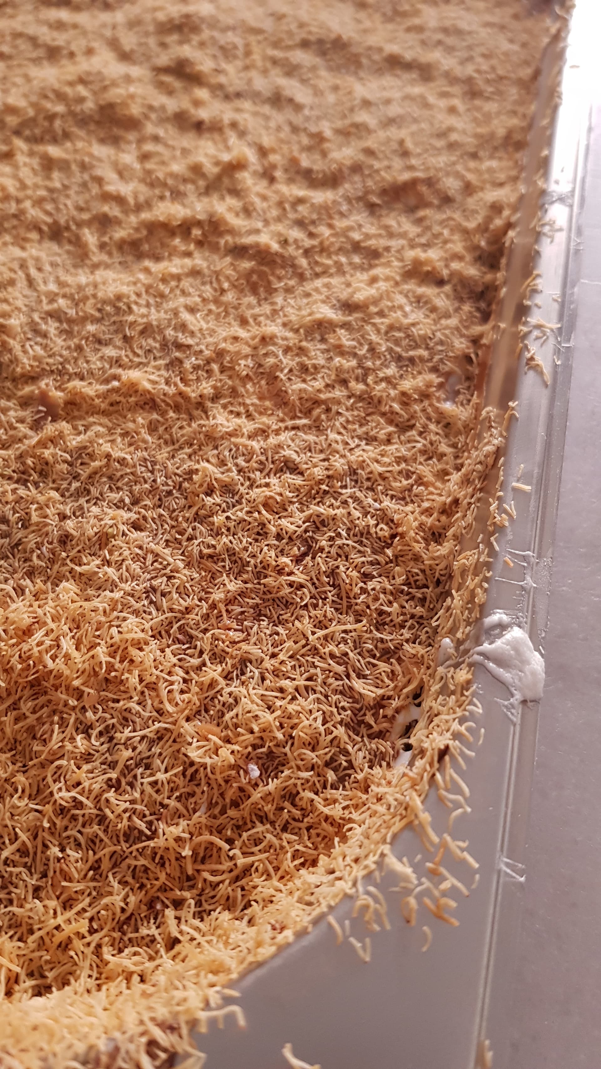 Knafeh In Tray